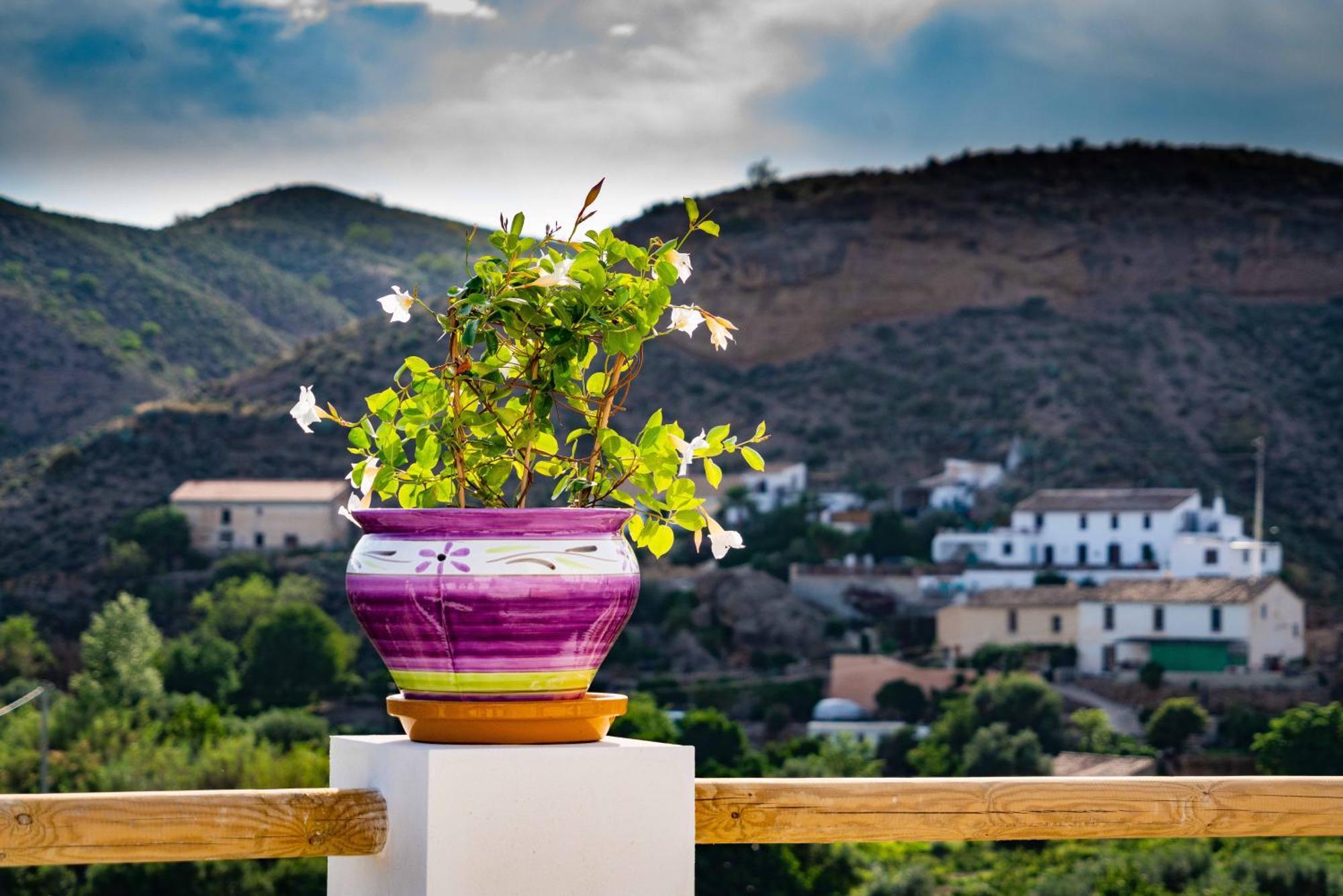 Rambla Retreats Apartment Rojo With Shared Pool & Hot Tub Stunning Views In Oria Extérieur photo